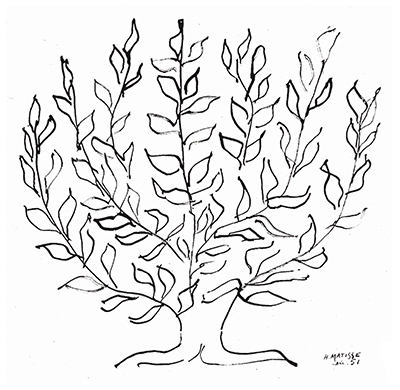 Arbre, platane Henri Matisse